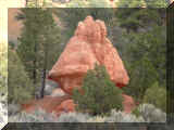 210406_bryce06.jpg (222554 octets)