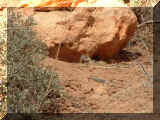 210429_tictac02.jpg (238577 octets)