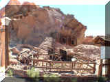 230405_calico.jpg (204681 octets)