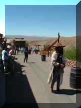 230409_calico.jpg (136961 octets)