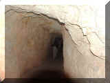 230414_calico.jpg (144594 octets)