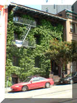 250423_frisco.jpg (261644 octets)