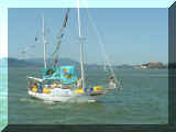 250429_bateaux.jpg (107630 octets)