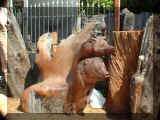 270422_sculpteur.jpg (214829 octets)