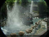 280409_expcalif.jpg (177864 octets)