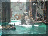 290426_waterworld.jpg (220060 octets)