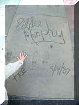 290437_murphy.jpg (154255 octets)
