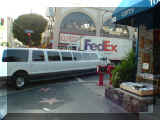 290445_hollywood.jpg (153665 octets)