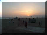 290447_venicebeach.jpg (69784 octets)